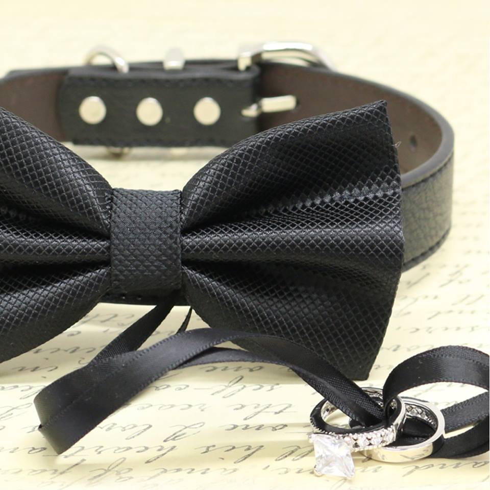 dog black tie