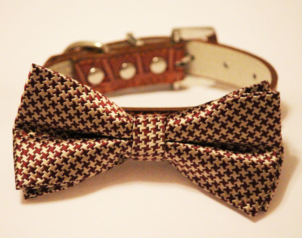 gold dog bow tie