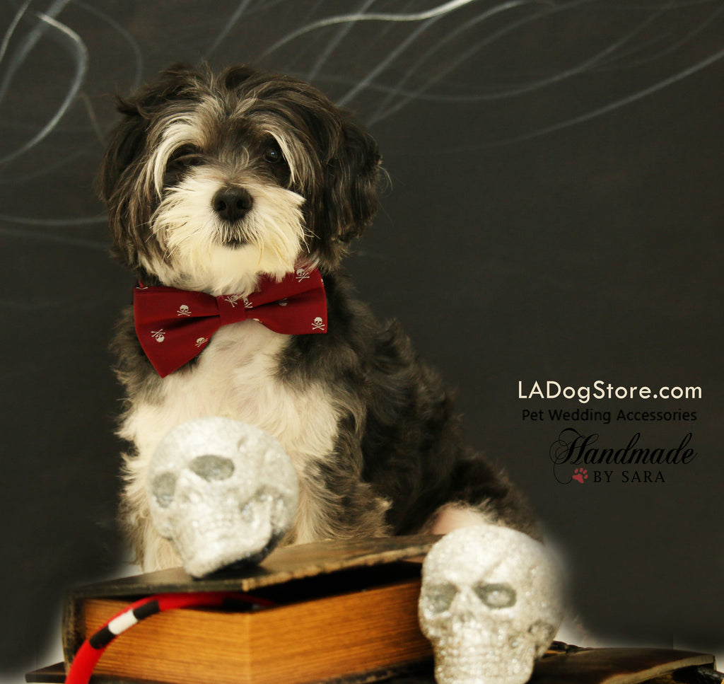 burgundy dog bow tie