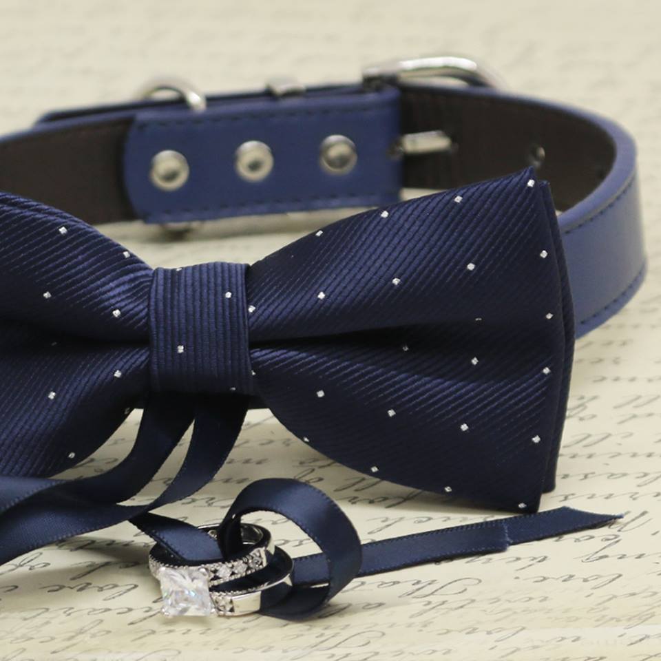 navy dog bow tie