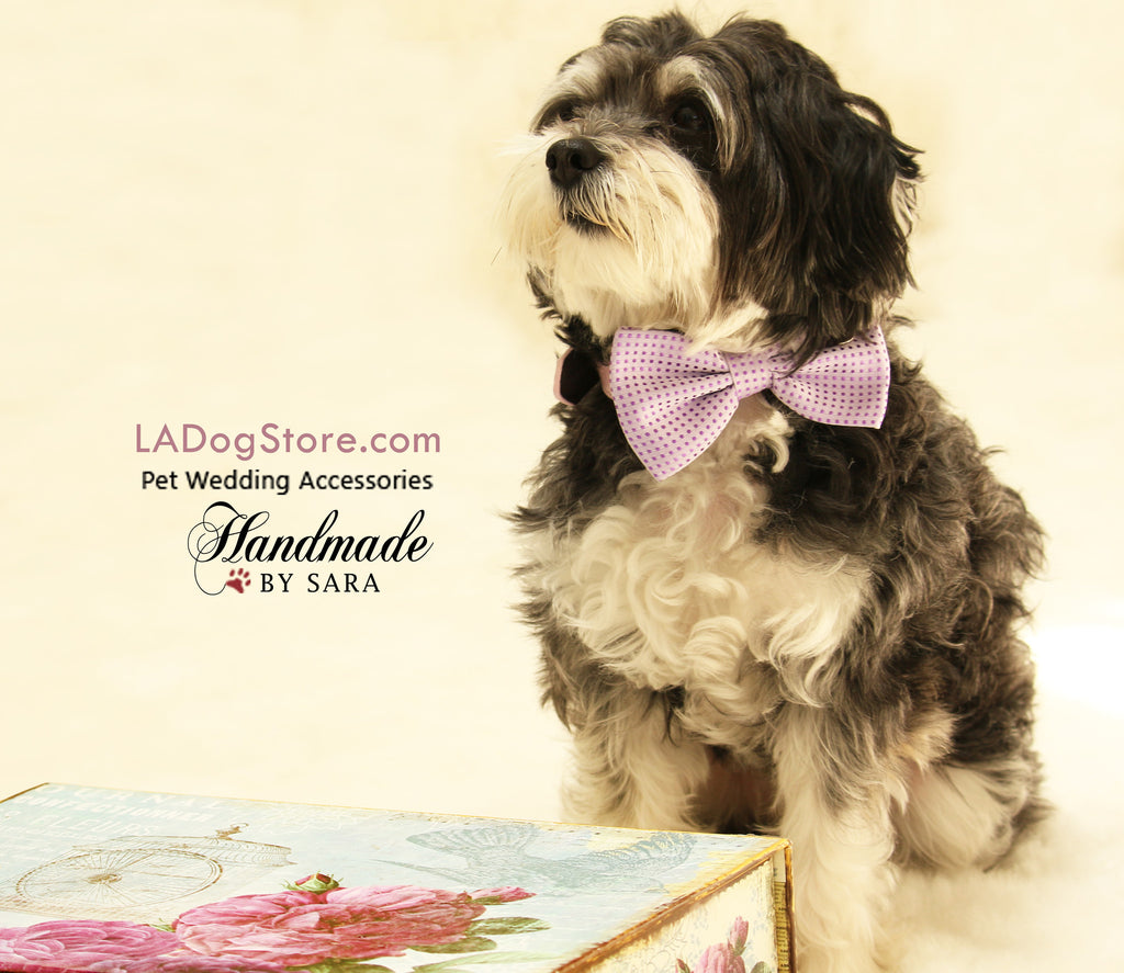 dog bowtie collar wedding