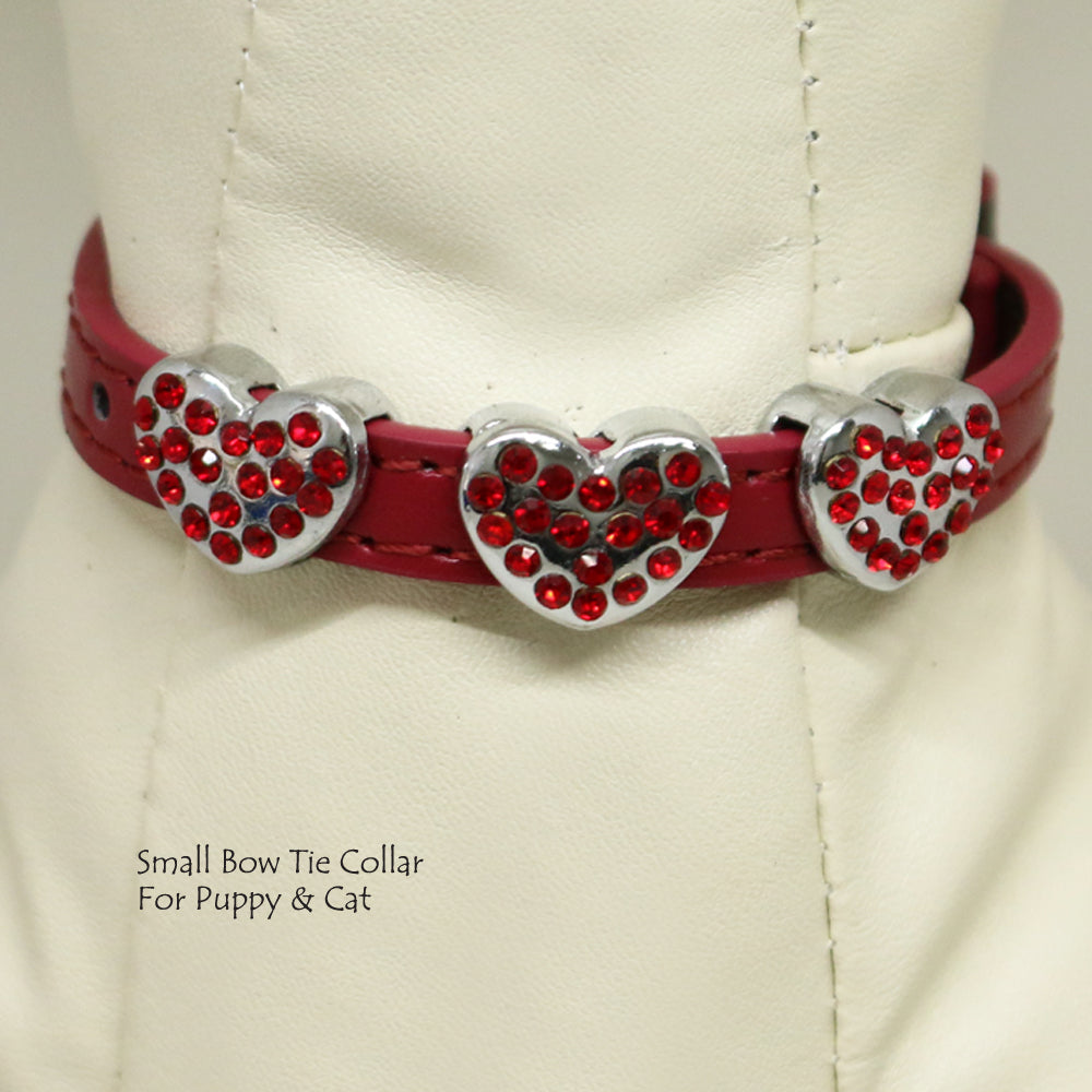 xs kitten collar