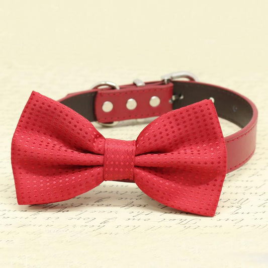 Eggplant custom Removable Bow Tie dog - Pet Collar –