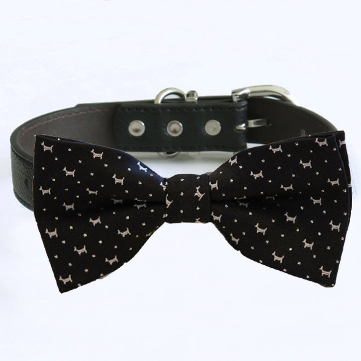 black dog bow tie