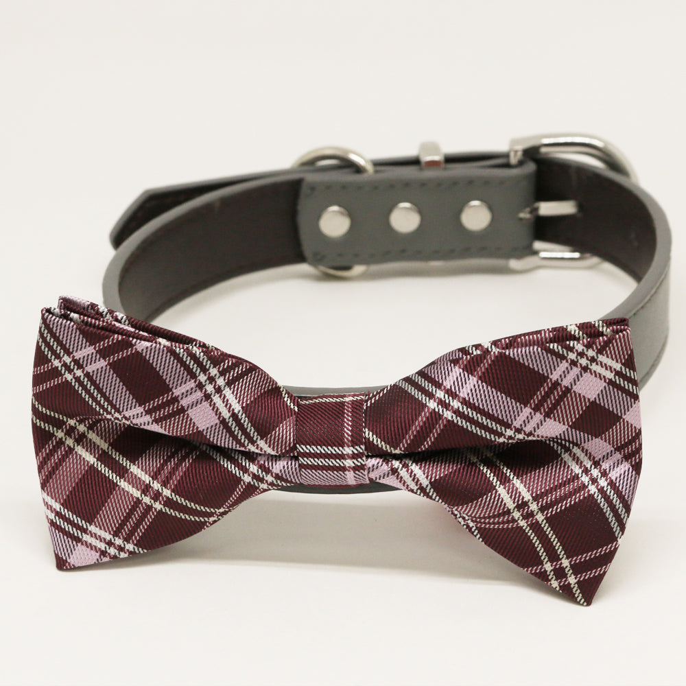 boy dog bows