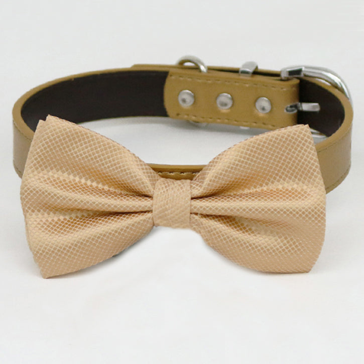 Champagne bow tie collar XS to XXL collar and bow tie, adjustable, Puppy bow tie, handmade, Dog ring