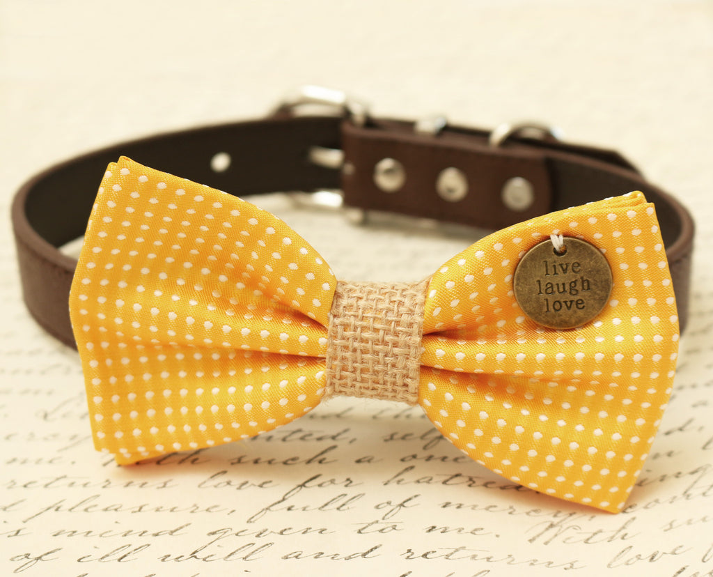 yellow dog bow tie