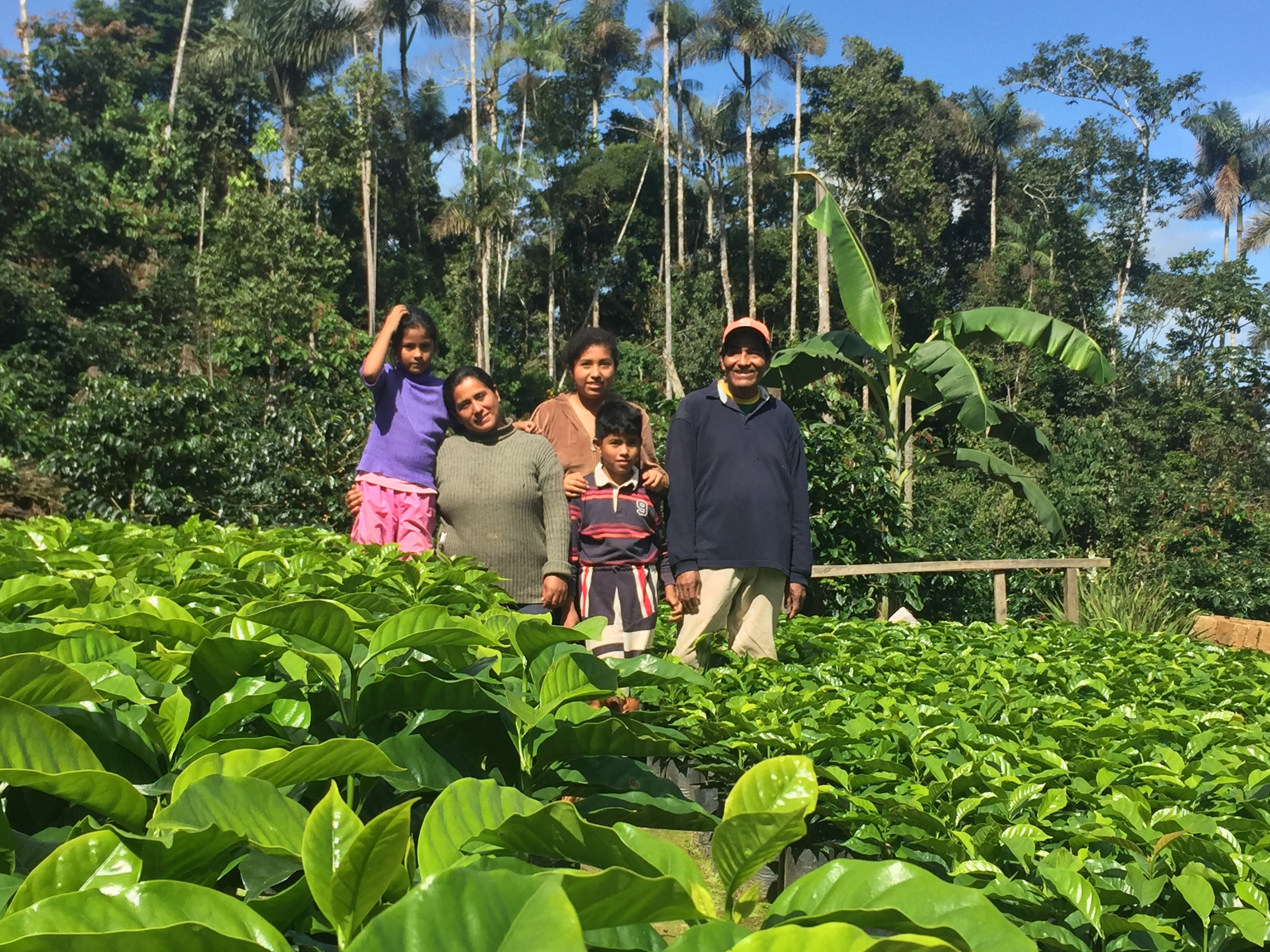 Vincent Paye Bolivia Christmas Coffee Drop Coffee