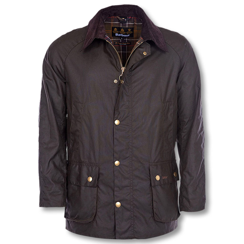 barbour ashby winter