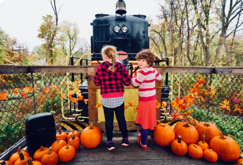 Catskill Mountain Railroad