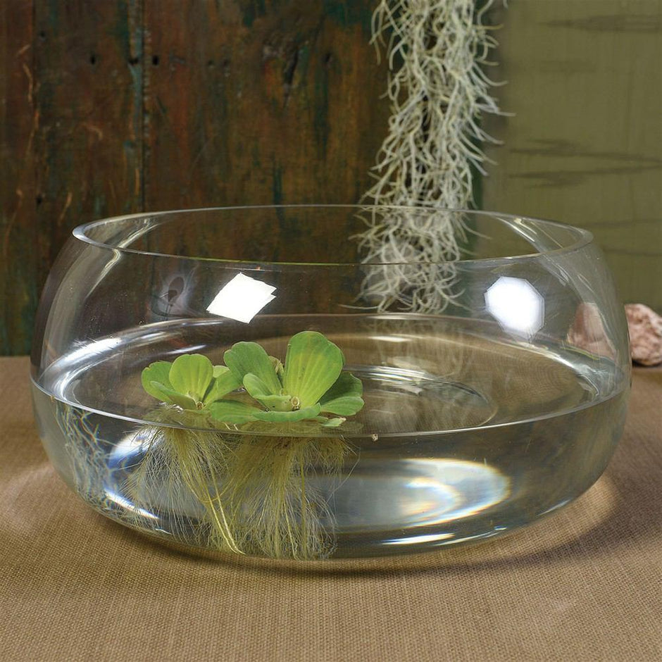 Glass Terrariums - Buy Glass Terrarium Containers – Modish Store