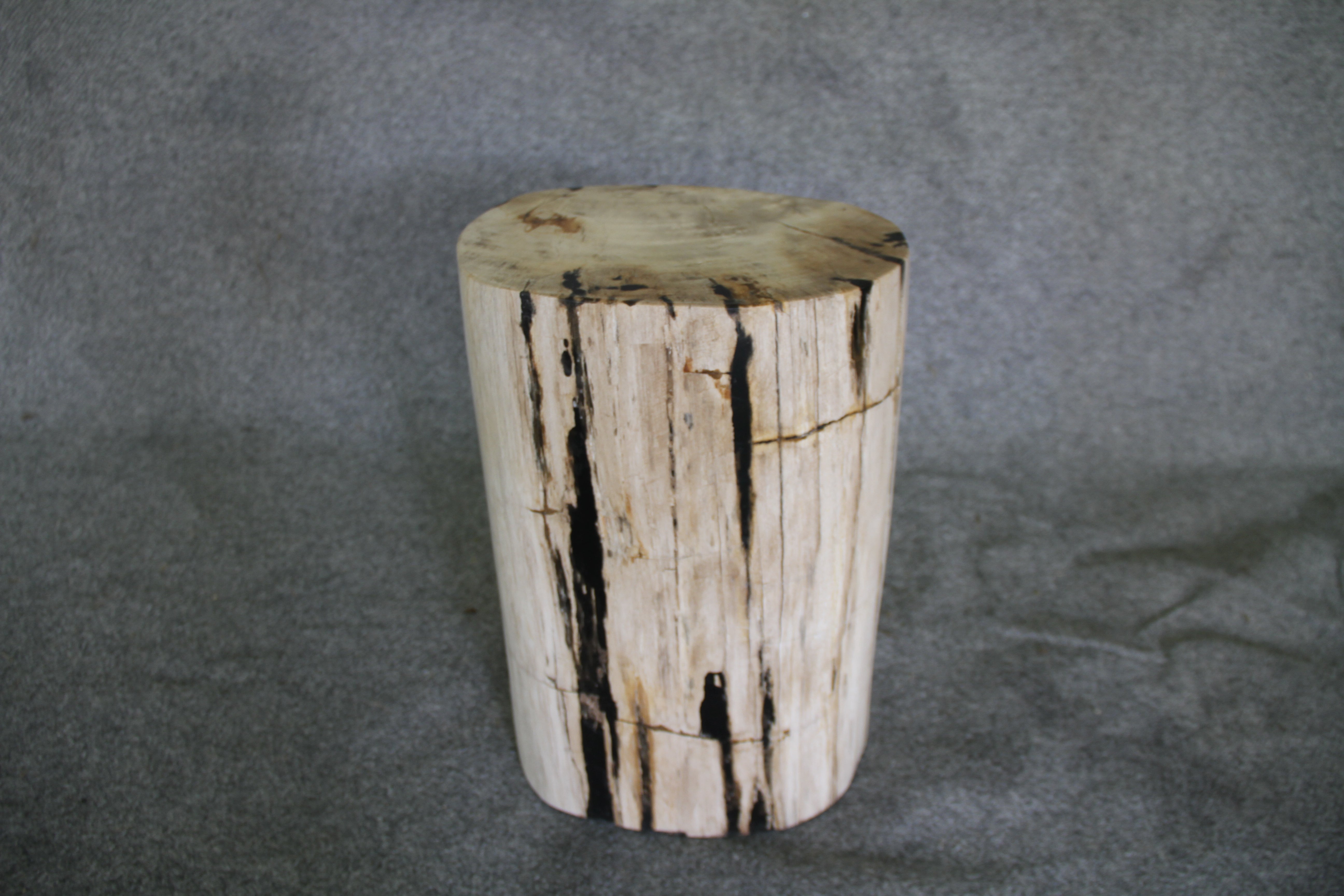  Petrified Wood Log Stool 15 x 10 x 17 - 1770.21 