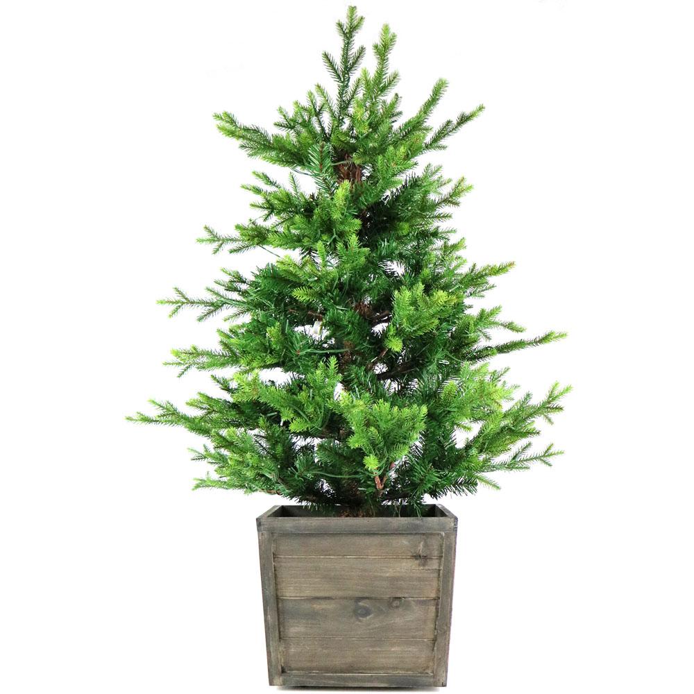  Fraser Hill Farm 4' Royal Pine Tree - LED Lights, Wheel Box, Battery Op By Fraser Hill Farm 