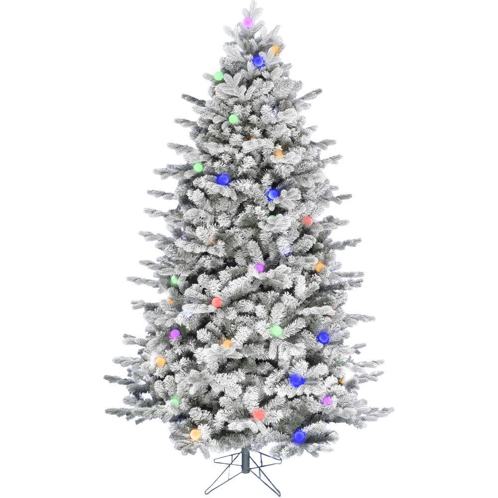  6.5-Ft. Full White Tail Pine Snow-Flocked Christmas Tree with Colorful G40 Bulbs By Fraser Hill Farm 