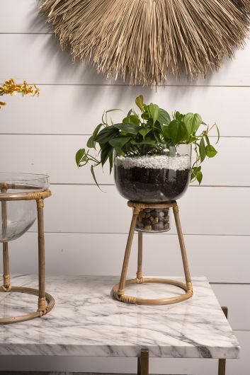  Teem Glass & Bamboo Plant Stand By Accent Decor 