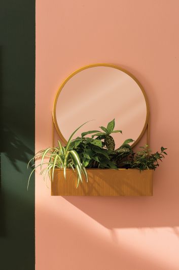  Contemplation Gold Metallic Mirror cum Planter Shelf By Accent Decor 