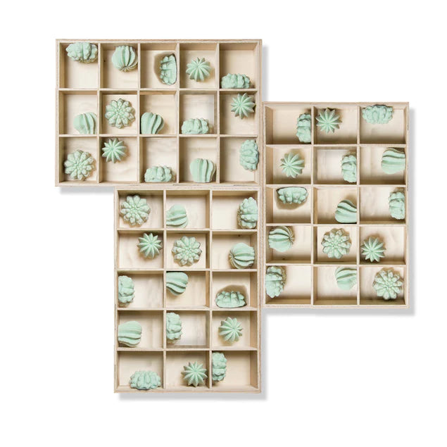  Shadow Box w/Cactus Wall Play, By Gold Leaf Design Group 