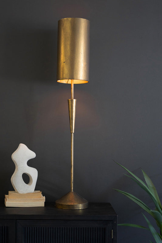 Antique Brass Goose Neck Table Lamp With Enamel Shade By Kalalou - Gold,  Turquoise – Modish Store