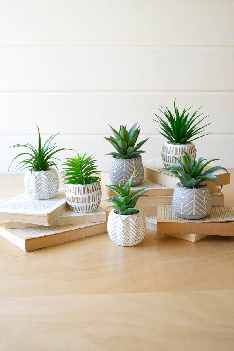  Artificial Succulents In Cement Pots Set Of 6 By Kalalou 