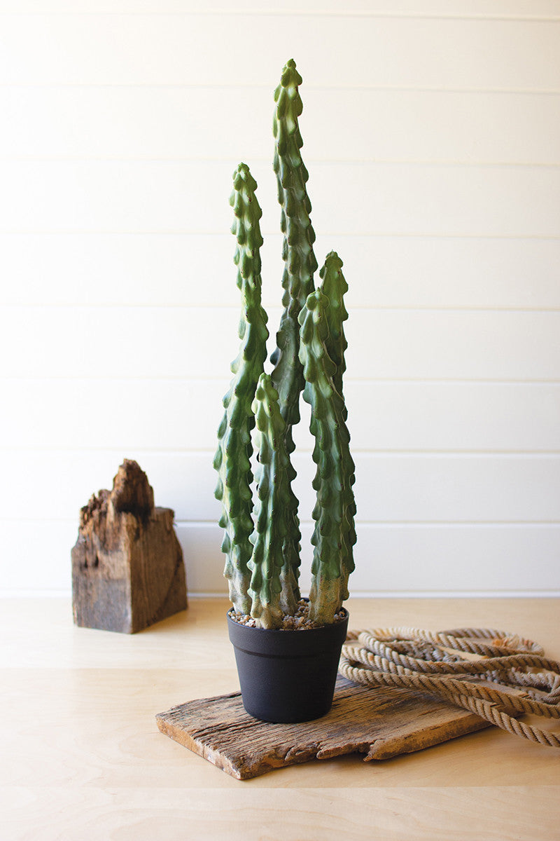 Artificial Cactus In A Black Plastic Pot With Six Stems By Kalalou 
