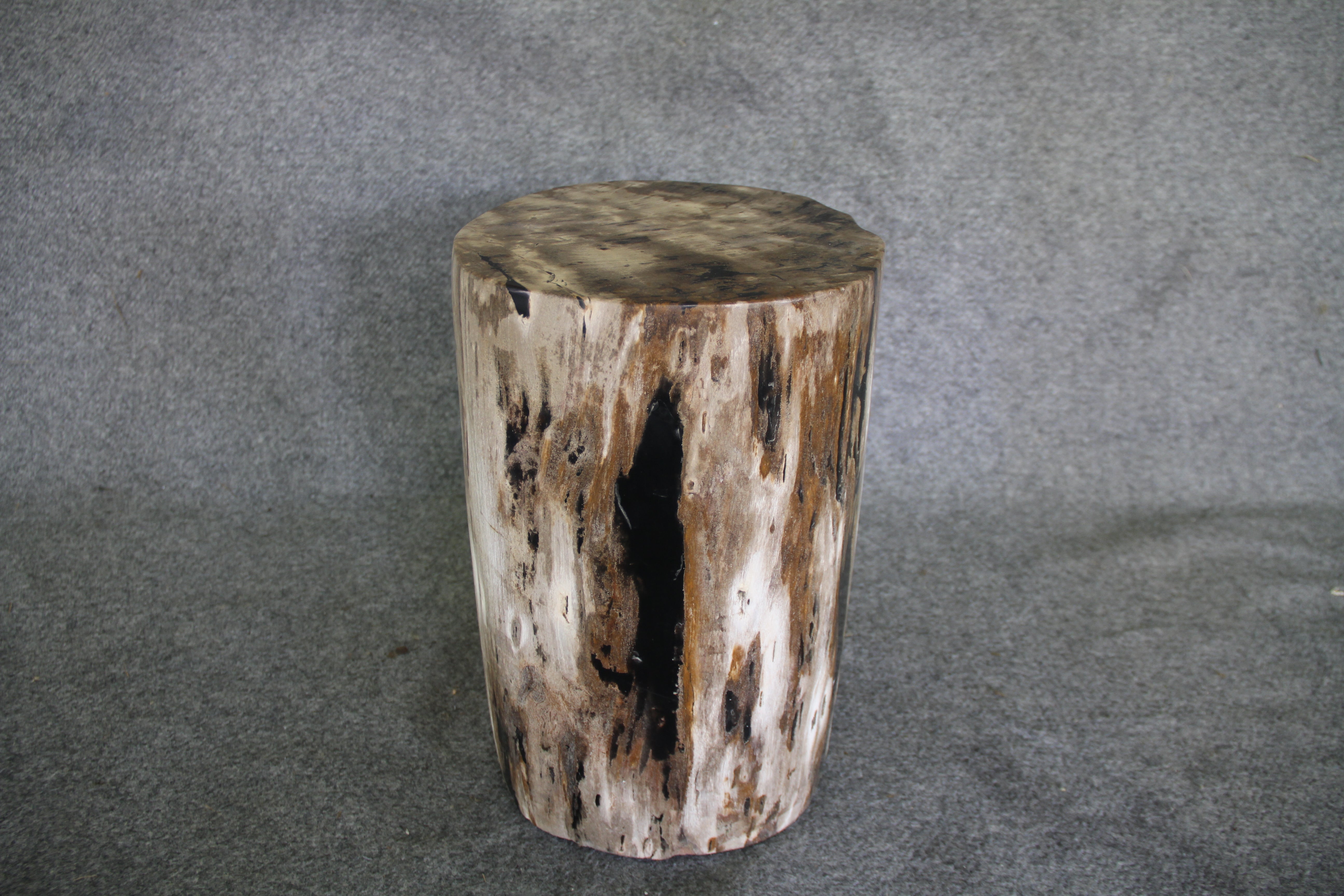  Petrified Wood Log Stool 16in x 11in x 10in - DV.161 