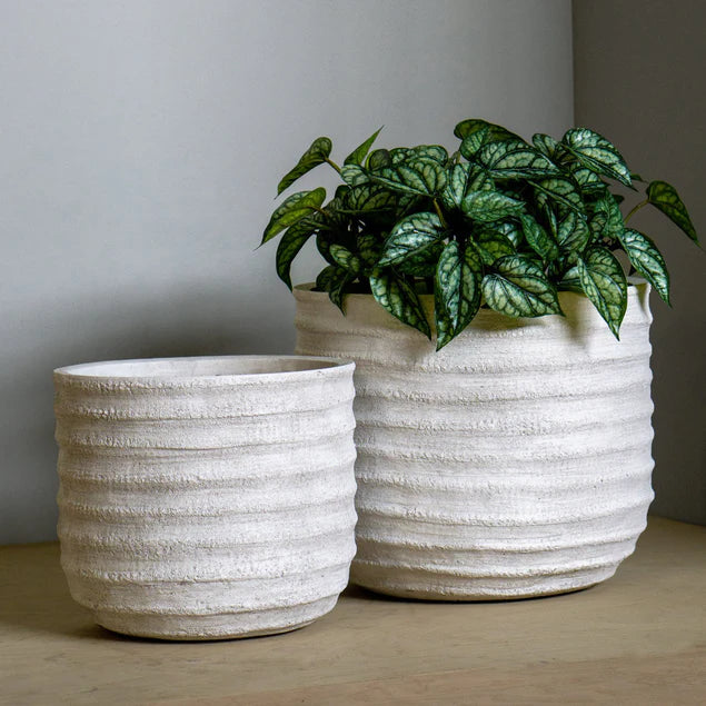  Dolma Short Ant White, Set Of 2 Planter By Gold Leaf Design Group 