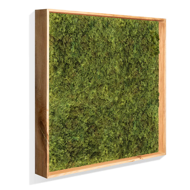  Green Wall, Textured Moss By Gold Leaf Design Group 