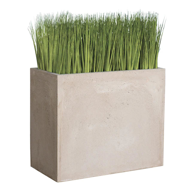  Grass: Japanese Grass In Urbano Rectangle Planter, Lg By Gold Leaf Design Group 