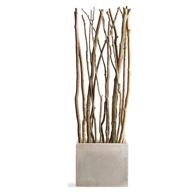  Alder Poles In Urbano Rectangle Planter, Sml By Gold Leaf Design Group 