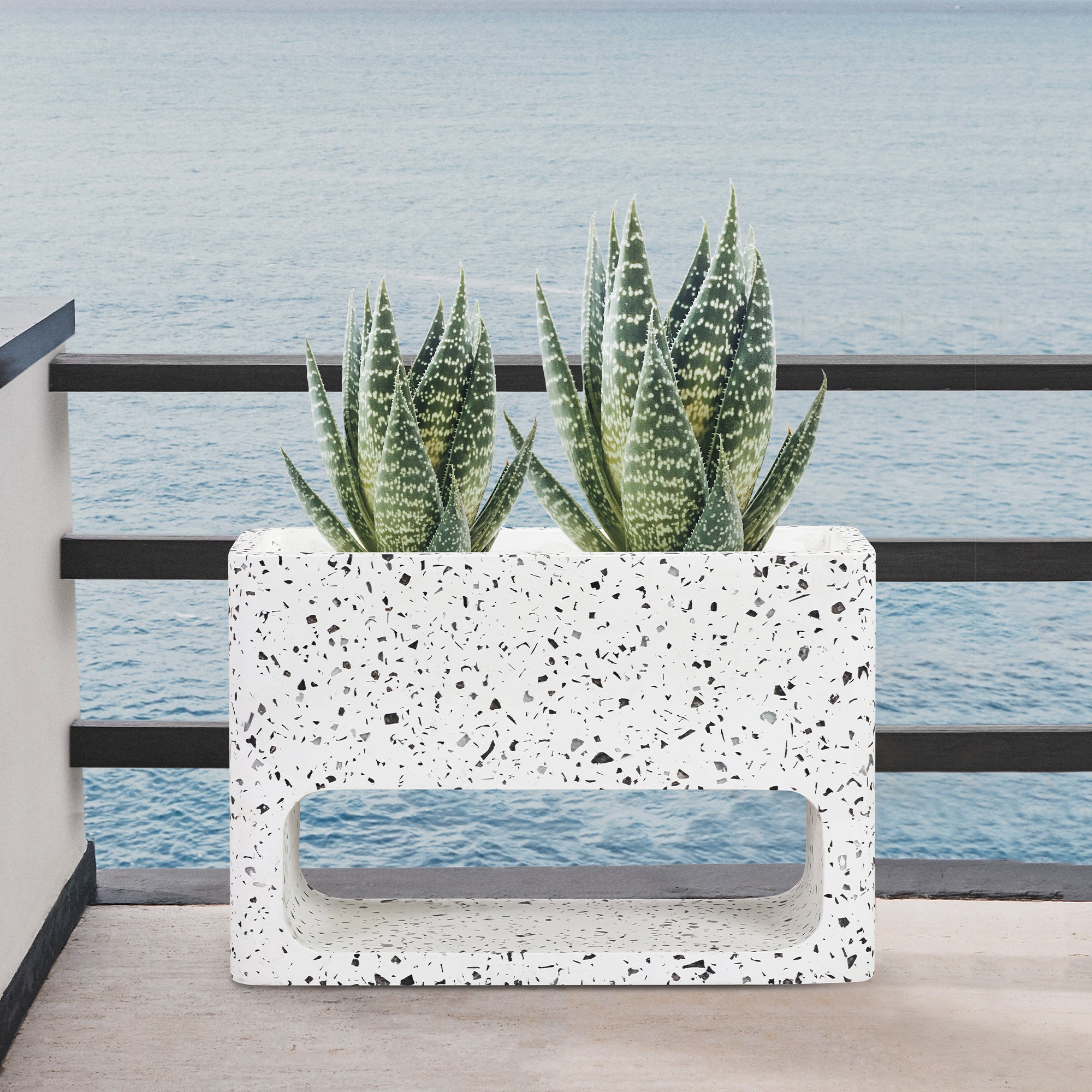  Sunstone Indoor or Outdoor Planter in Terrazzo Concrete By Armen Living 