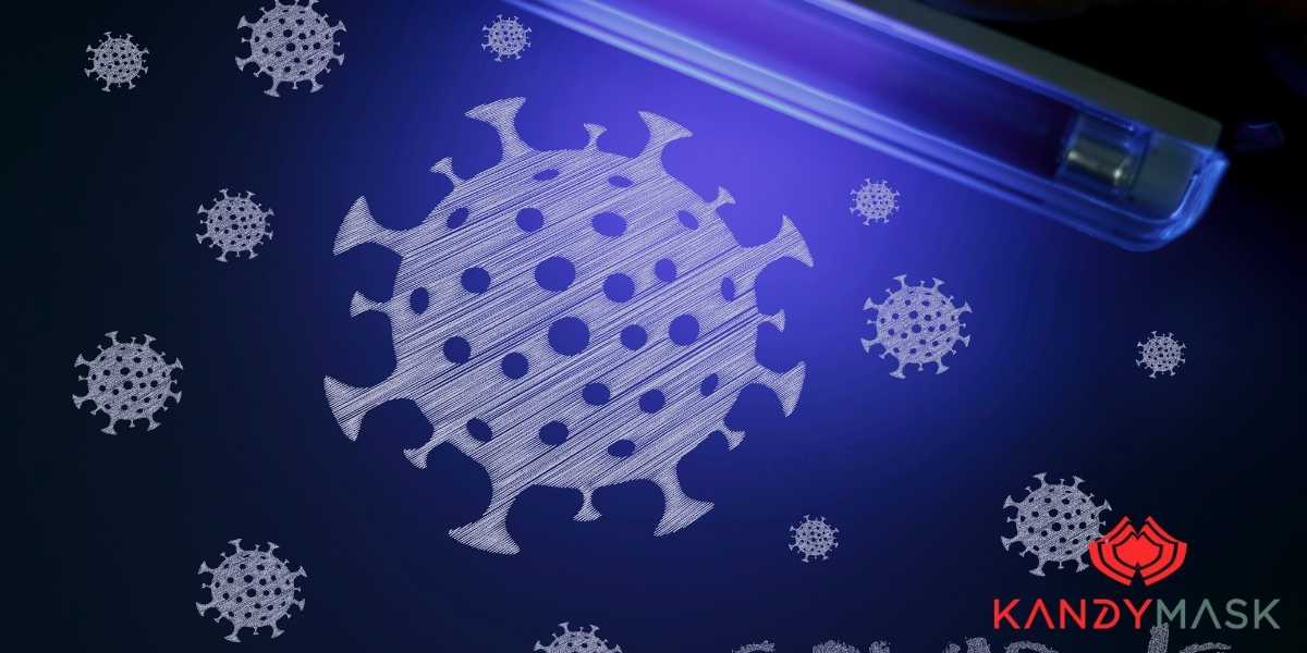 Can a UV sanitizer box kill viruses