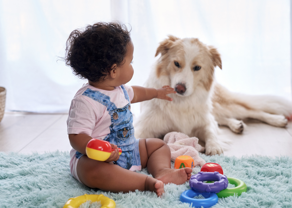 Dogs love to play with babies