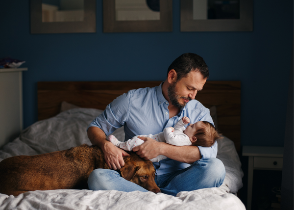 A new father introduces his dog to his newborn baby