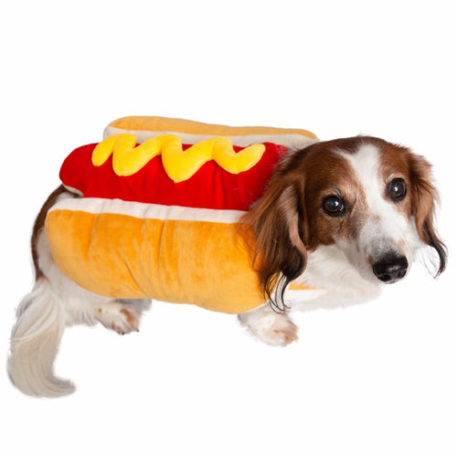 Top Chef Uniform Pet Dog Costume