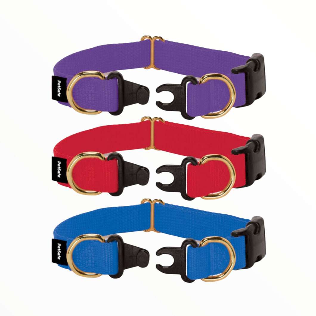 are buckle dog collars safe