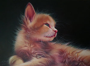 Blossom as a Kitten - Colored Pencil Artwork by Nathalie Beck