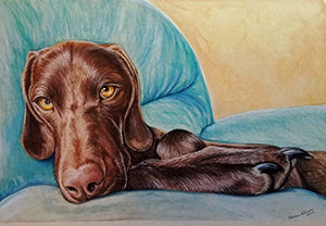 Dog Day Afternoon - Colored Pencil Artwork by Shannon Johnson