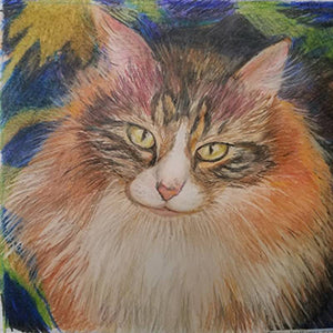 Bianca - Colored Pencil Artwork by Donna Everage
