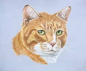 The Mighty Hunter - Colored Pencil Artwork by Jo Goudie