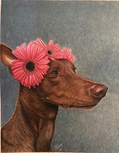 Chester the Pharaoh Hound - Colored Pencil Artwork by Jill Whatley