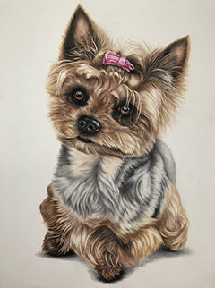 Pink Ribbon - Colored Pencil Artwork by Maggie Frisch