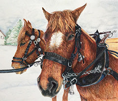 Working Horses of Switzerland - Colored Pencil Artwork by Denise Wilson