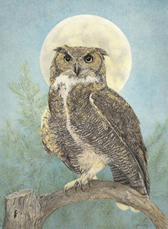 Nightwatch - Colored Pencil Artwork by Irma Murray