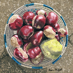 These Old Chestnuts - Colored Pencil Artwork by Alison Philpott