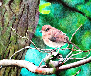 Poor Little Sparrow - Colored Pencil Artwork by Julie Maguire
