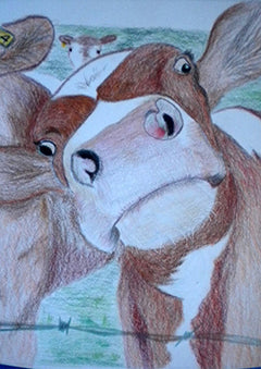 NoOsy Cow - Colored Pencil Artwork by Susan Pernot