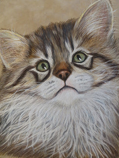 Who Me? - Colored Pencil Artwork by Pamela Young