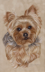Https Encrypted Tbn0 Gstatic Com Images Q Tbn And9gcth3tfpz7llxaip6rdy5mivfn4gghjigxmxpa Usqp Cau Easy step by step drawing tutorials and instructions for beginner and intermediate artists looking to improve their overall drawing skills. 2