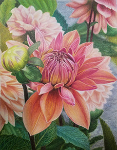 Montreal Dahlia Beauty by Cindy Wiltse