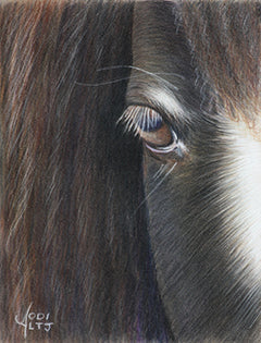 Wink's Hope by Jodi Ferguson